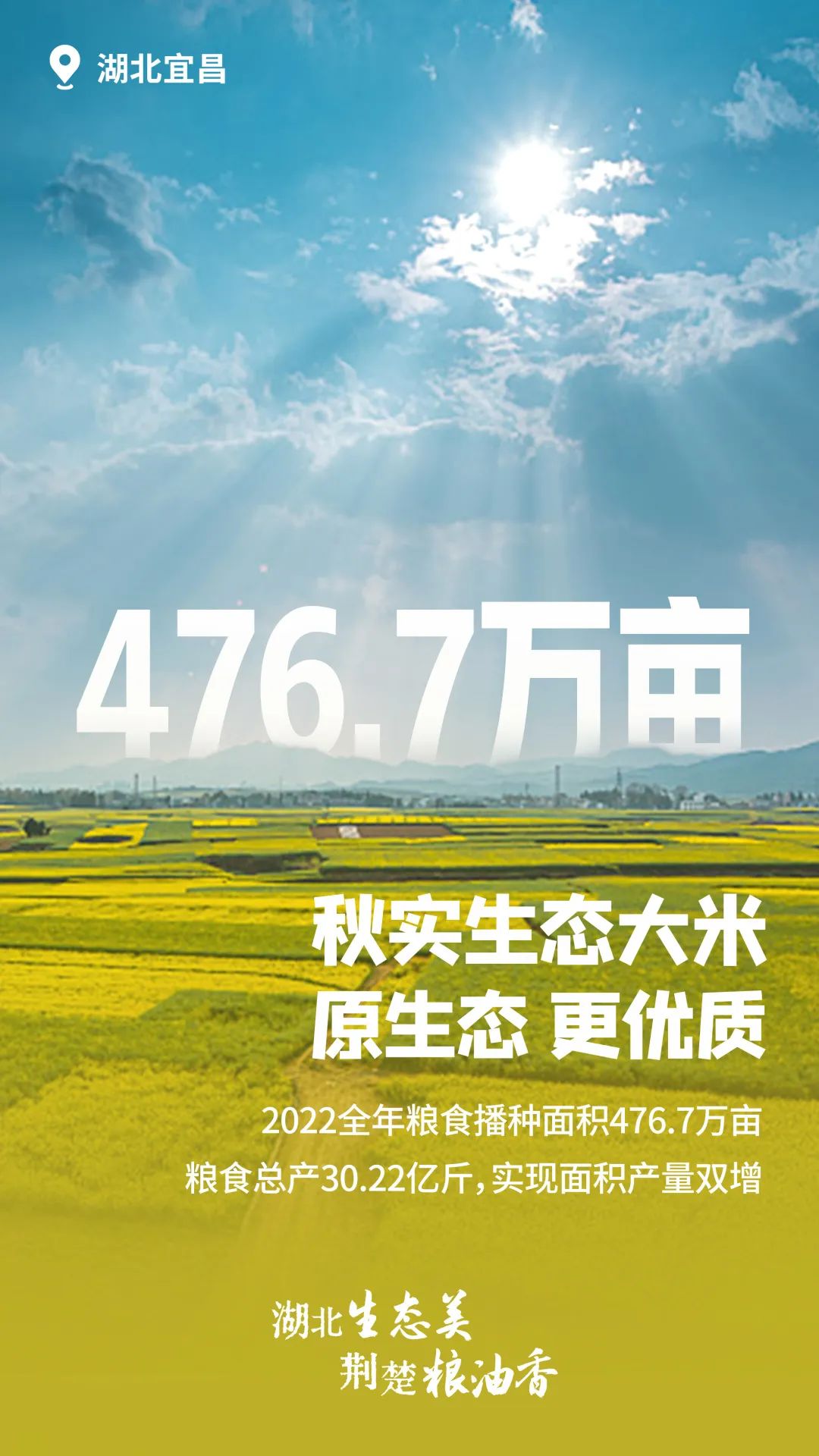 富硒大米湖北