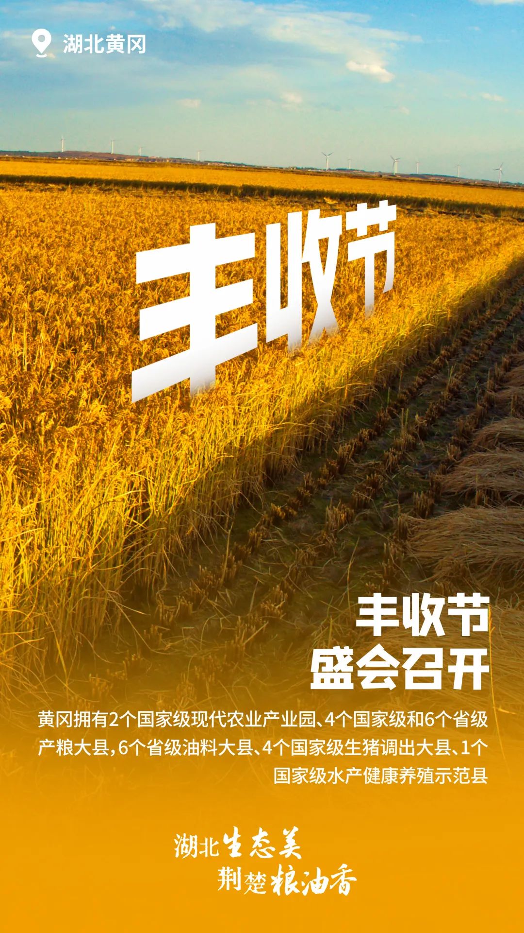 富硒大米湖北