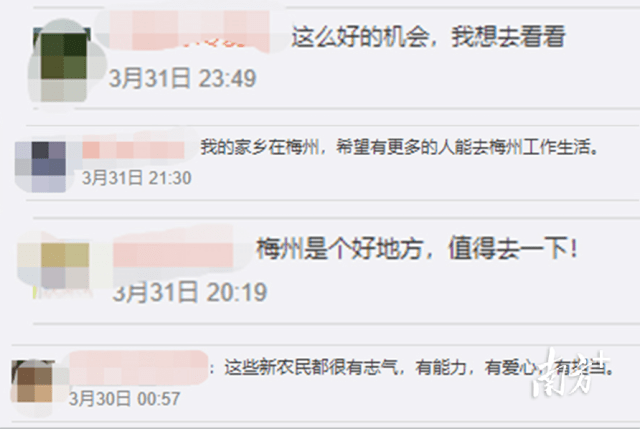 富硒大米定做