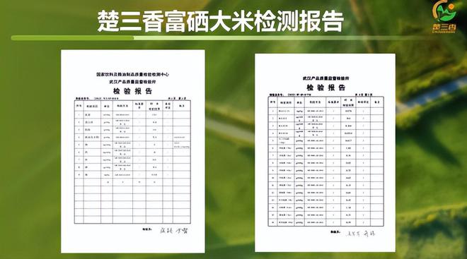 富硒大米电商