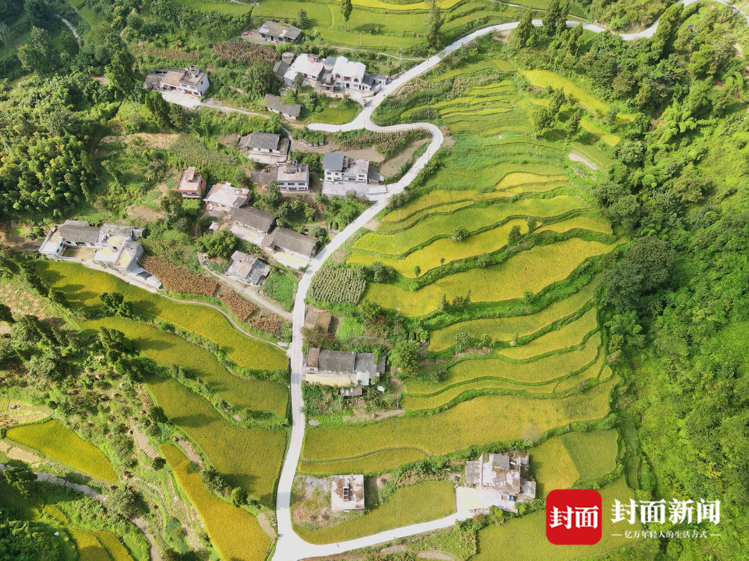 川凤富硒大米