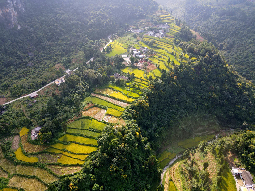 川凤富硒大米