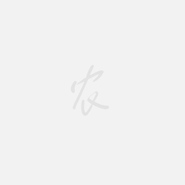蒋堂富硒大米