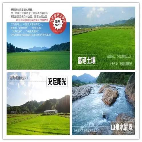 岠山富硒大米