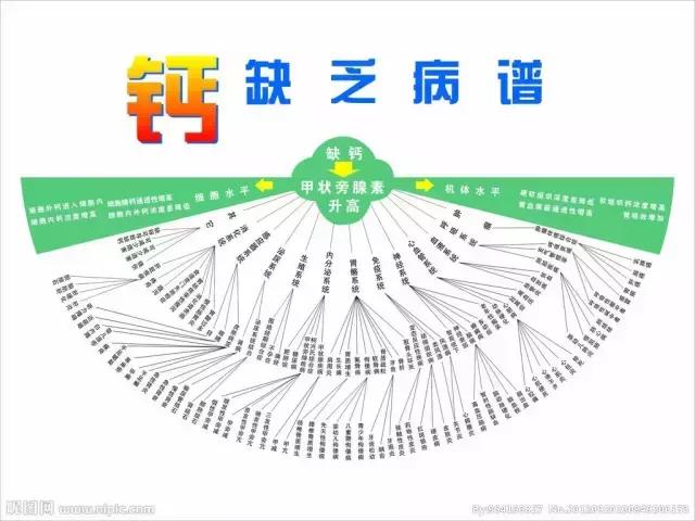 什么时候补钙最佳时间