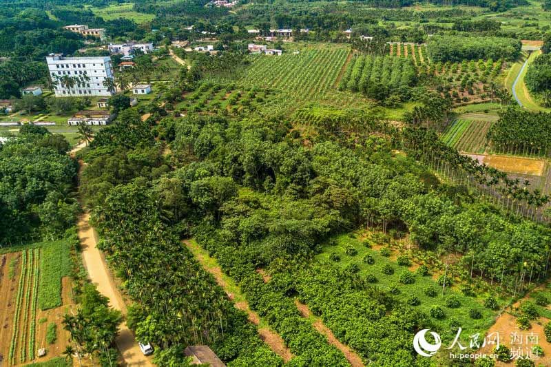 ?？诟晃毓? /></p>
<p>近日，海南省政府出台政策，推进生态农业品牌战略。省财政每年安排1亿元，专项用于品牌农业建设，力争2016年建成规?；?、标准化示范园1490个，新培育中国驰名商标20件以上，农产品地理标志品牌10件以上，省著名商标、省名牌农产品80件以上。继续扶持中部县市做强做大主导生态产业，如琼中绿橙、蜂蜜，白沙南药、竹子，五指山高山蔬菜、花卉，东方黄花梨、沉香，屯昌黑猪、阉鸡等，力争到2016年全省农民人均纯收入比2011年翻一番，达到10457元。</p>
<p>（相关报道见第二版）</p>										<div   id="zptmy5zary"   class="single-copyright">
						版权声明：本文为互联网用户自发贡献的内容，其中观点及相关内容仅代表作者本人。本网站仅提供信息存储空间服务，不拥有这些内容的所有权，并且不承担任何法律责任。如果发现本网站上有涉嫌侵权或违法违规的内容，请立即联系我们的客服QQ：6532516以便进行及时清除。					</div>
									</div>
                <div   id="zptmy5zary"   class="mb-default clearfix">
										<a class="float-left btn btn-outline-default mr-small" href="http://www.jkassets.cn/tag/%e6%b5%b7%e5%8f%a3%e5%af%8c%e7%a1%92%e5%9c%b0%e7%93%9c/">海口富硒地瓜</a>
									</div>          
				<div   id="zptmy5zary"   class="log-neighbor clearfix">
					<a href="http://www.jkassets.cn/18799.html" rel="prev"><span>上一篇：</span>富硒大米含铁（大米铁含富硒吗）</a>					<a href="http://www.jkassets.cn/18801.html" rel="next"><span>下一篇：</span>宁阳富硒地瓜（富硒地瓜营养价值）</a>				</div>
                <div   id="zptmy5zary"   class="log-readmore">
					<h5 class="page-header">继续阅读</h5>
					<ul>
					<li><span id="zptmy5zary"    class="page-dot"></span>暂无推荐</li>					</ul>
				</div>
            </div>
        </div>
<div   id="zptmy5zary"   class="col-right d-none d-lg-block">
		<div   id="zptmy5zary"   class="sidebar-box">
		<h4 class="sidebar-title">随机文章</h4>
		<div   id="zptmy5zary"   class="sidebar-log">
			<ul>
								<li><a href="http://www.jkassets.cn/32339.html" target="_blank">纳米硒与农产品（纳米硒购买）</a></li>
								<li><a href="http://www.jkassets.cn/36484.html" target="_blank">富硒地和富硒产品（富硒产品厂家）</a></li>
								<li><a href="http://www.jkassets.cn/71990.html" target="_blank">男孕前需要补充锌硒宝（备孕男士锌硒宝每天吃多少）</a></li>
								<li><a href="http://www.jkassets.cn/4776.html" target="_blank">富硒大米生产技术要求（富硒大米的种植过程和方法）</a></li>
								<li><a href="http://www.jkassets.cn/33299.html" target="_blank">富硒桑叶茶的功效（给我搜一下桑叶茶的功效）</a></li>
								<li><a href="http://www.jkassets.cn/72515.html" target="_blank">最新补硒制剂是什么硒类（最新的补硒制剂是）</a></li>
								<li><a href="http://www.jkassets.cn/39234.html" target="_blank">松原富硒大米好吗（富硒优质大米）</a></li>
								<li><a href="http://www.jkassets.cn/67456.html" target="_blank">安康富硒茶香飘千万家（安康富硒茶地理标志）</a></li>
								<li><a href="http://www.jkassets.cn/28497.html" target="_blank">清明茶富硒价格（清明茶价格富硒多少钱）</a></li>
								<li><a href="http://www.jkassets.cn/70453.html" target="_blank">于都富硒蔬菜大棚出租（江西蔬菜大棚出租）</a></li>
							</ul>
		</div>
	</div>
			<div   id="zptmy5zary"   class="sidebar-box js_asd_bottom">
		<div   id="zptmy5zary"   class="sidebar-custom">
			<a href="" rel="nofollow" target="_blank">
				<img src="http://www.jkassets.cn/wp-content/uploads/2023/12/1593602619028180.jpg"></a>
		</div>

	</div>
	</div>    </div>
</div>
 <div   id="zptmy5zary"   class="footer-wrap">
	<div   id="zptmy5zary"   class="container">
		<div   id="zptmy5zary"   class="row">
			<div   id="zptmy5zary"   class="col-12">
				
<a href="http://www.jkassets.cn/privacy-policy/">隐私政策</a>

								<a rel="nofollow"  target="_blank">陕ICP备2021015245号-4</a><a href="/sitemap.xml">网站地图</a>
								<span>© 硒宝网</span>
			</div>
		</div>
	</div>
</div>
<a class="page-backtop"><i class="fa fa-icon fa-angle-up"></i></a>
<script>
var swiper = new Swiper(