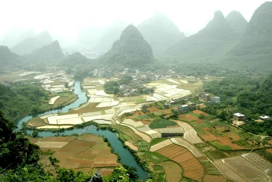 陆川富硒大米