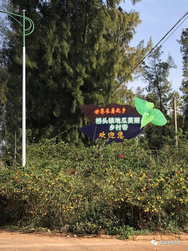 河南富硒地瓜(河南地瓜富硒含量多少)-硒宝网