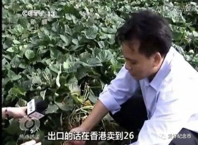 河南富硒地瓜(河南地瓜富硒含量多少)-硒宝网