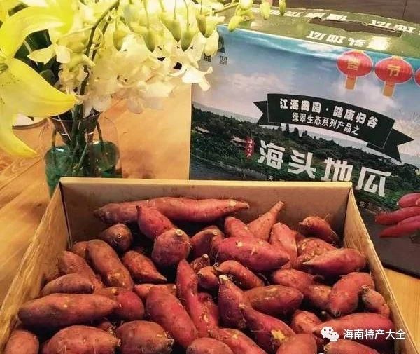 海南常见的地瓜品牌介绍，你都吃过哪些？