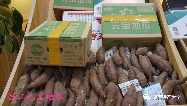海南常见的地瓜品牌介绍，你都吃过哪些？