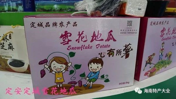 海南常见的地瓜品牌介绍，你都吃过哪些？