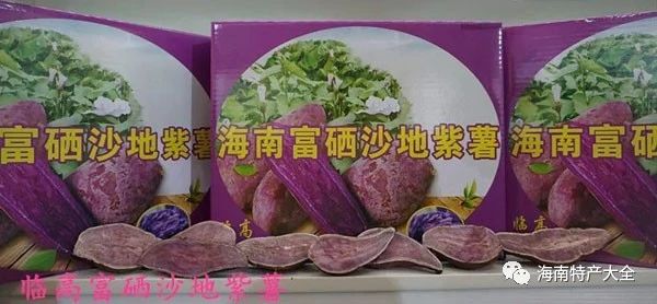 海南常见的地瓜品牌介绍，你都吃过哪些？