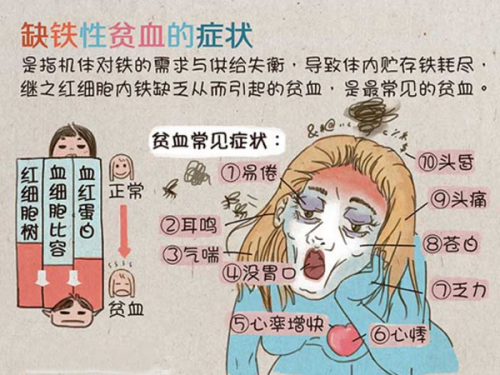 为什么要补铁