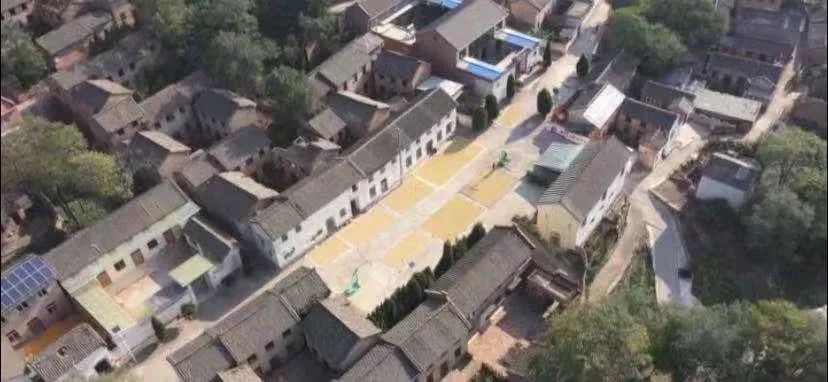 漳州富硒地瓜