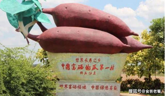 富硒地瓜好吗