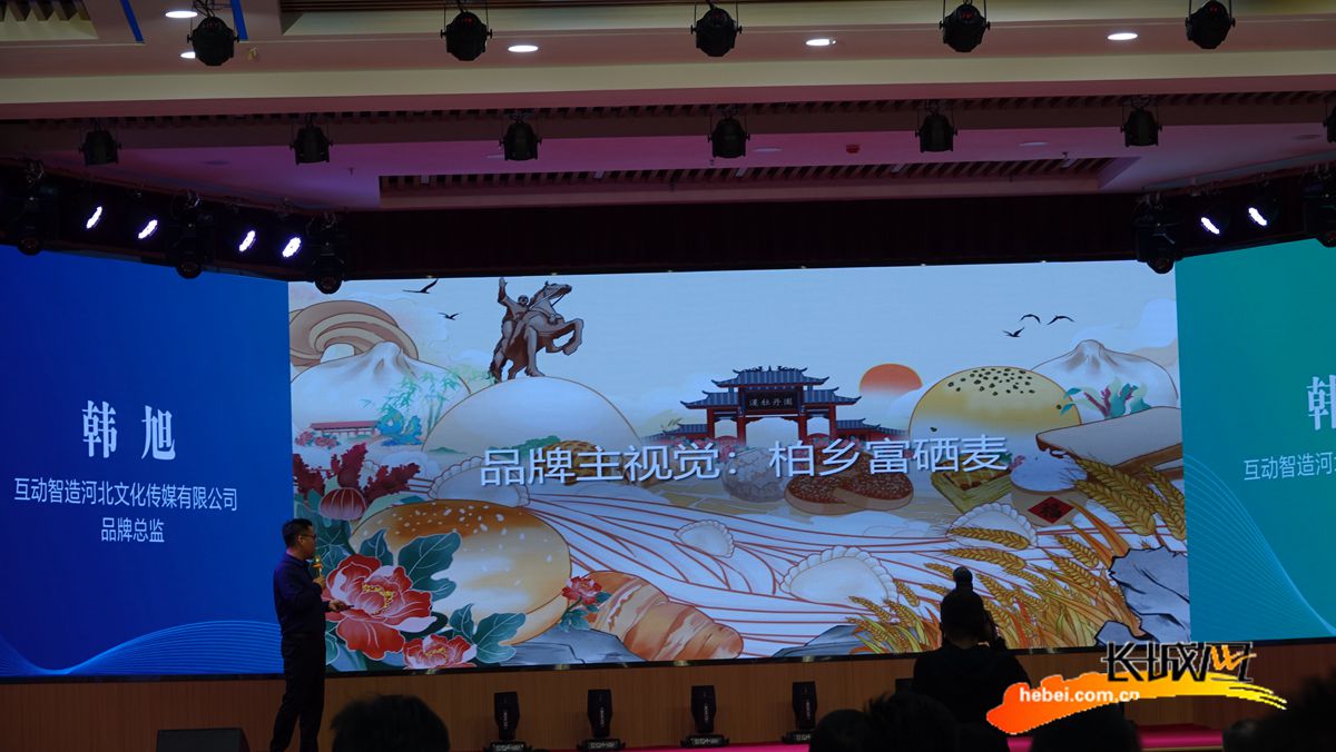互动智造河北文化传媒有限公司品牌总监韩旭对“硒望柏乡”农产品区域公用品牌进行解读。长城网记者 吴新光 摄