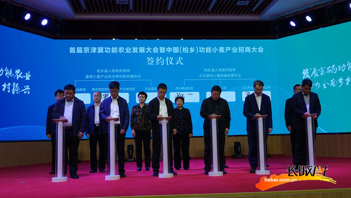 会议现场进行签约。长城网记者 吴新光 摄