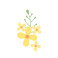 水花富硒面粉