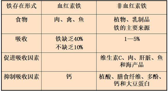 孕几周开始补铁