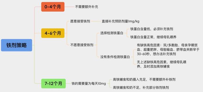 宝宝几个月开始补铁