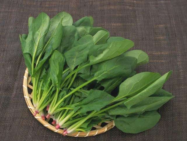 菠菜能补铁吗(菠菜的含铁量)-硒宝网