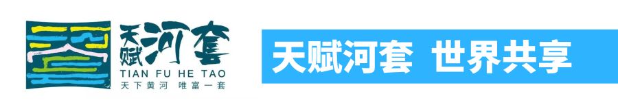 河套面粉富硒