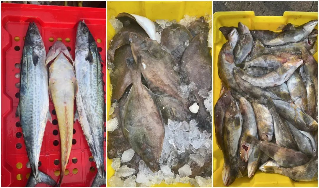 核桃富硒面粉(富硒核桃多少钱一斤)-硒宝网