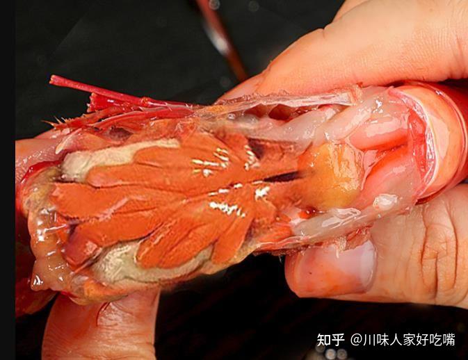 河虾补钙吗