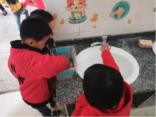 乌龟吃什么补钙