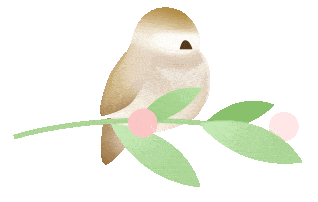 宁都富硒蔬菜