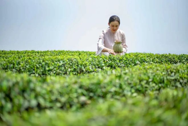 富硒蔬菜致富