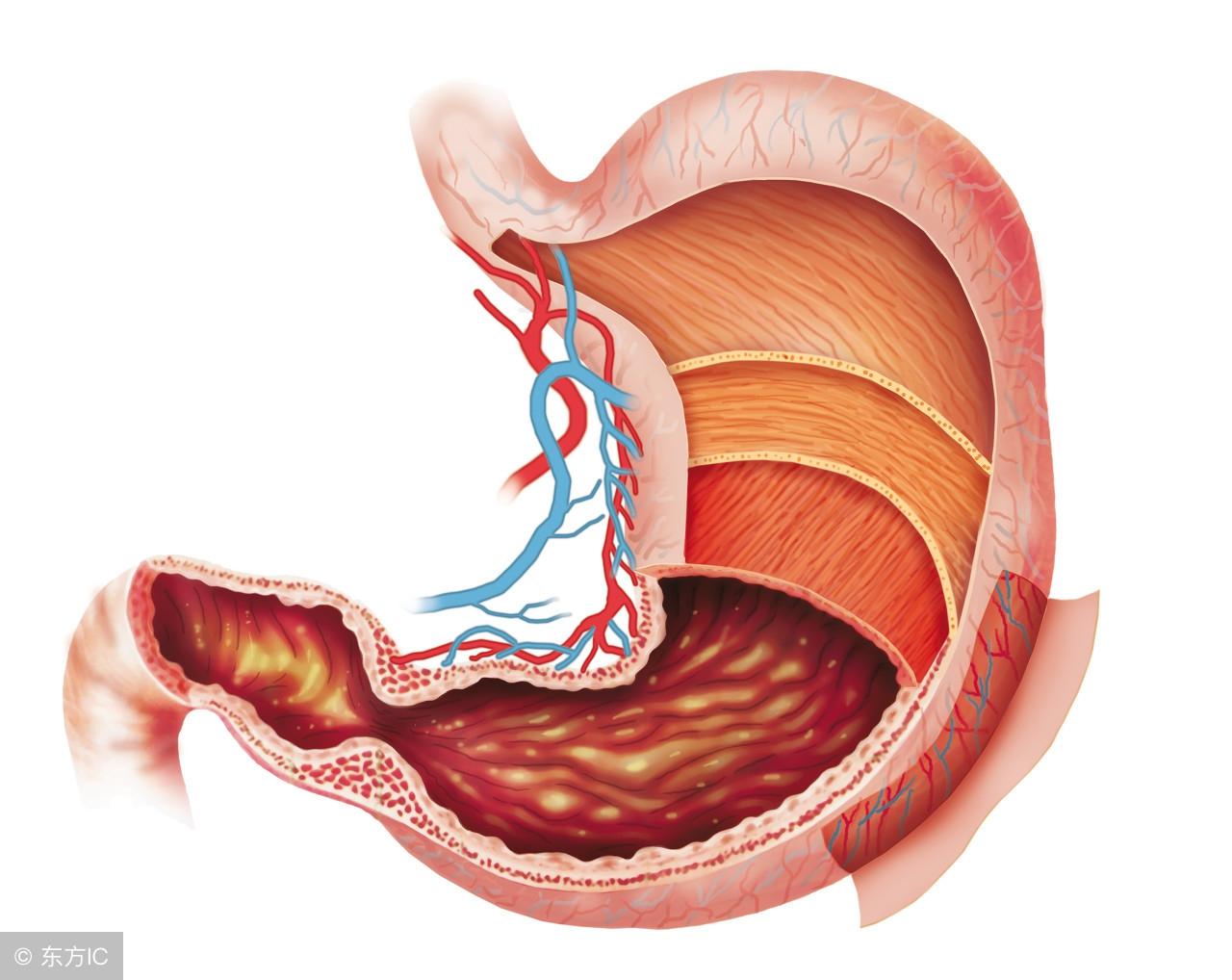 大便黑色证明补铁吸收