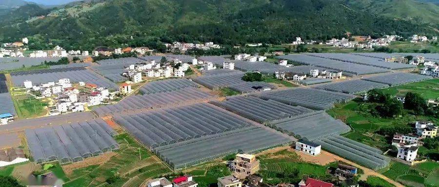 富硒赣南蔬菜(蔬菜赣南富硒产地)-硒宝网