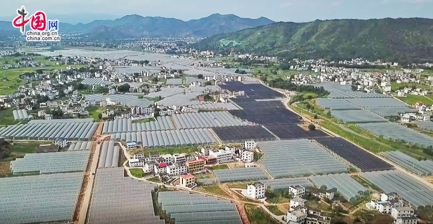 本溪富硒蔬菜