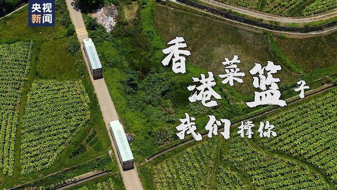 富硒蔬菜英文
