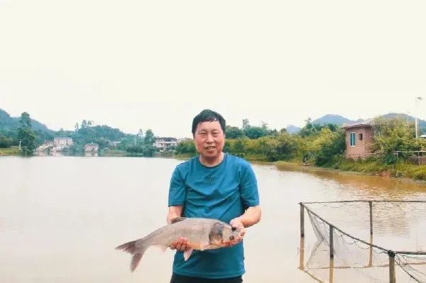 山西富硒蔬菜