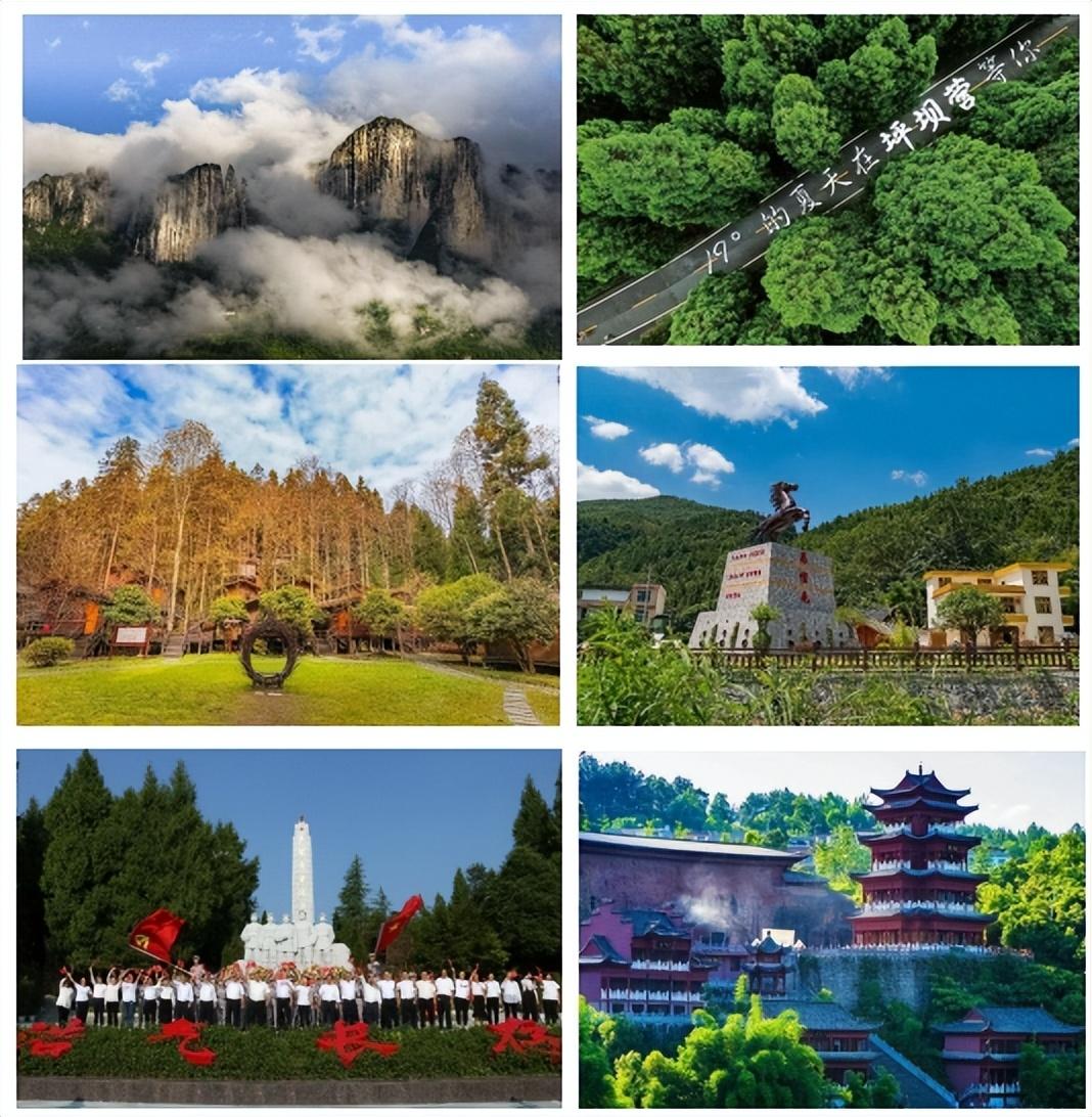 富硒蔬菜苏区