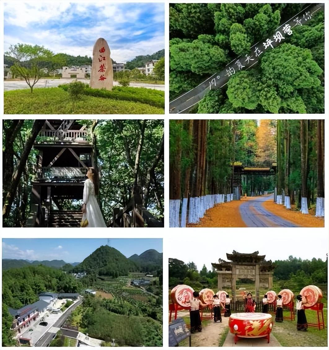 富硒蔬菜苏区