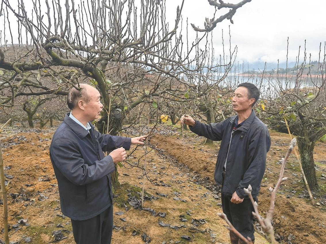 富硒水栽蔬菜
