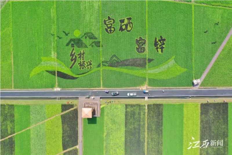 富硒蔬菜赣州