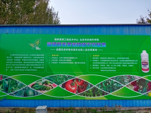 富硒酵素蔬菜