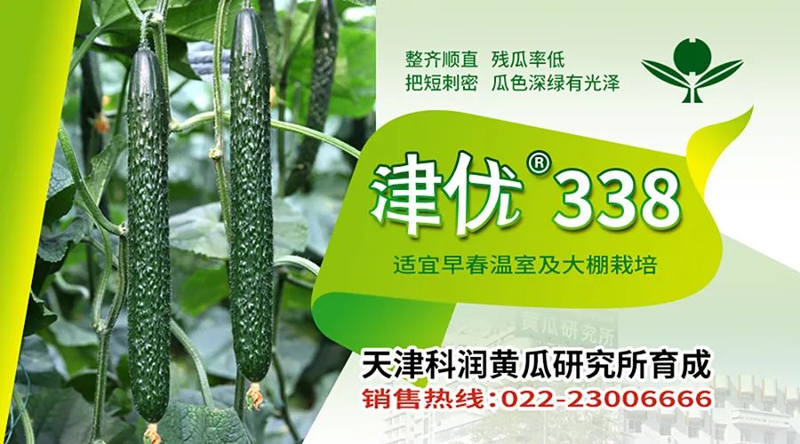 富硒蔬菜简介