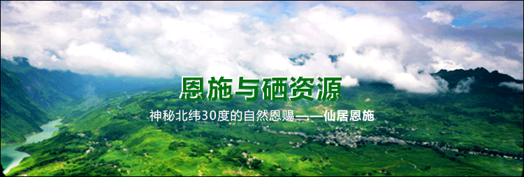 富硒蔬菜产业