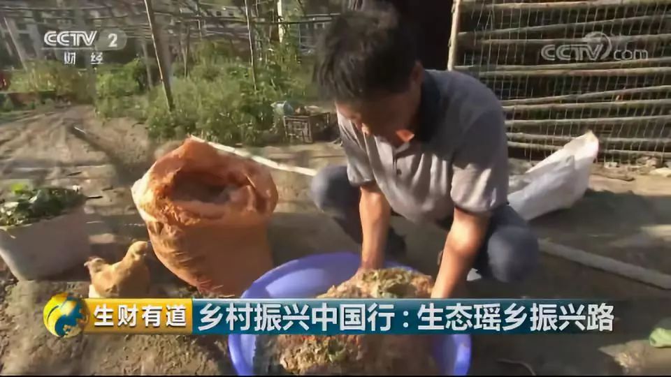 巴马富硒蔬菜