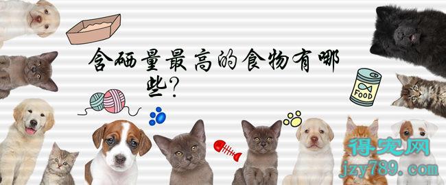 富硒蔬菜含量(蔬菜含量富硒排名)-硒宝网