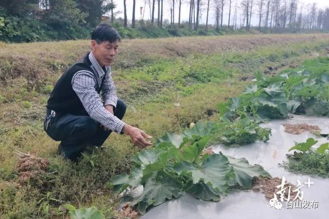 富硒蔬菜农?。ǜ晃卟思鄹癖绕胀ㄊ卟耍?硒宝网