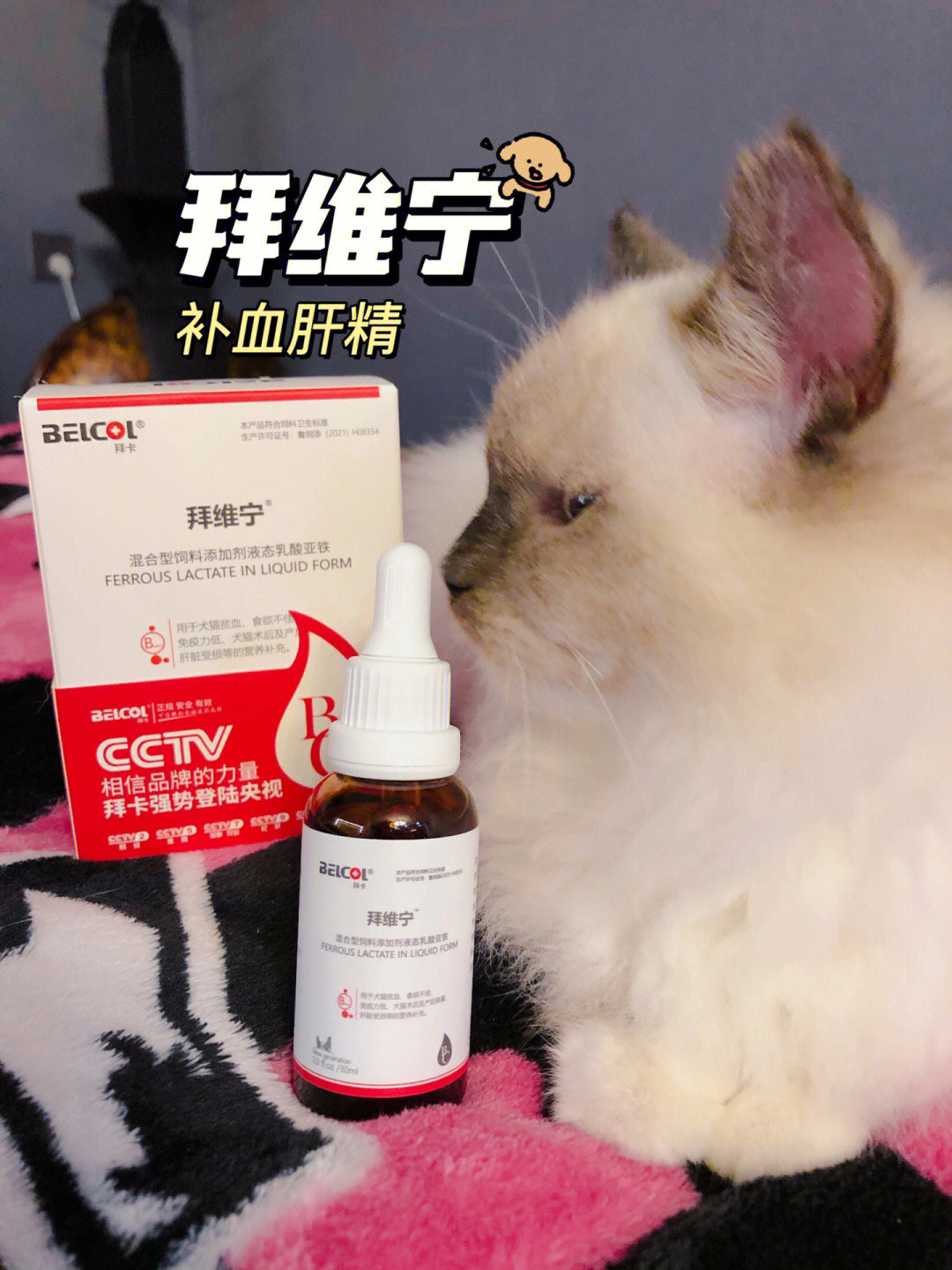 不贫血可以补铁吗