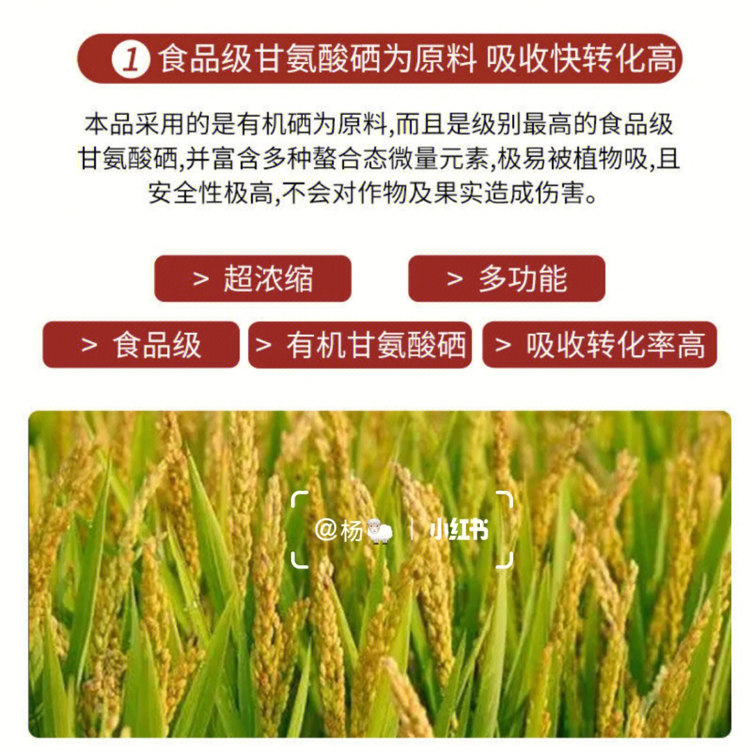 鲁盛富硒蔬菜