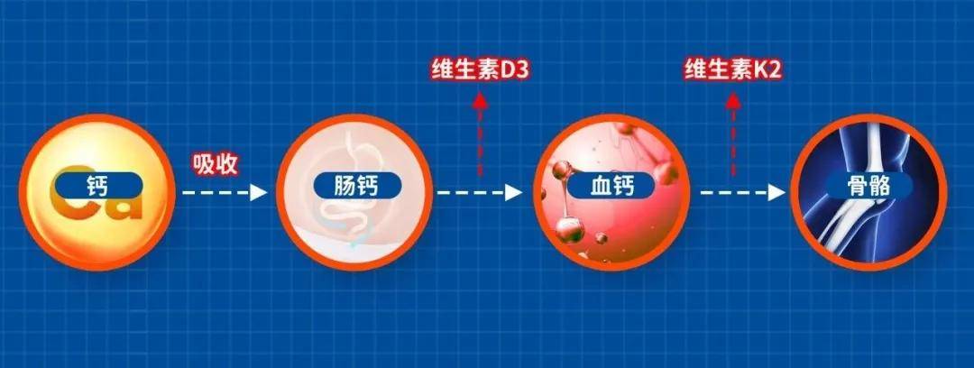 成人补锌吃什么药